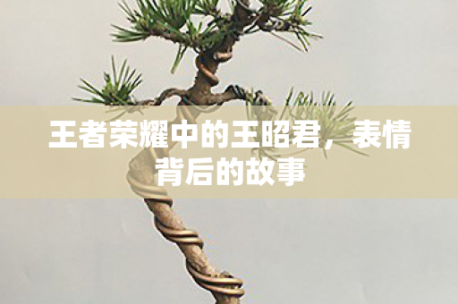 王者荣耀中的王昭君，表情背后的故事