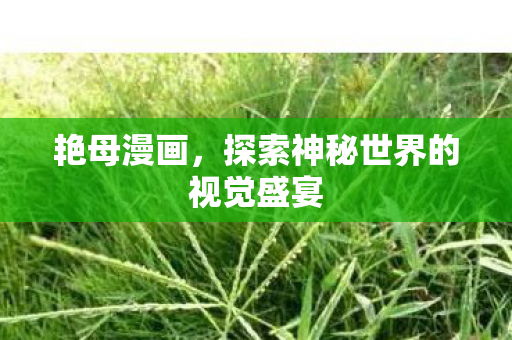 艳母漫画，探索神秘世界的视觉盛宴
