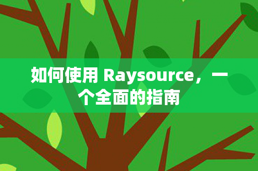 如何使用 Raysource，一个全面的指南