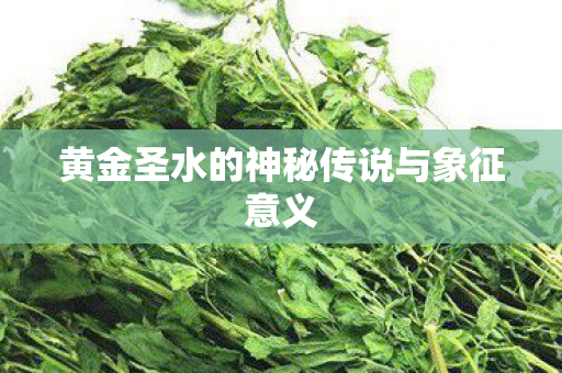 黄金圣水的神秘传说与象征意义