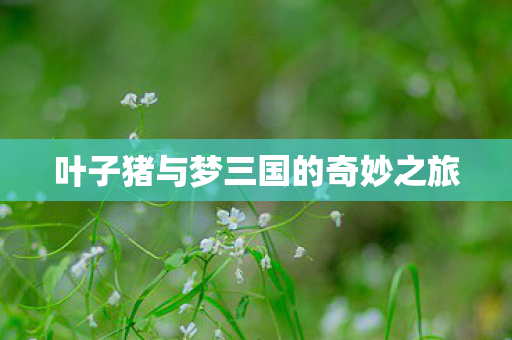 叶子猪与梦三国的奇妙之旅