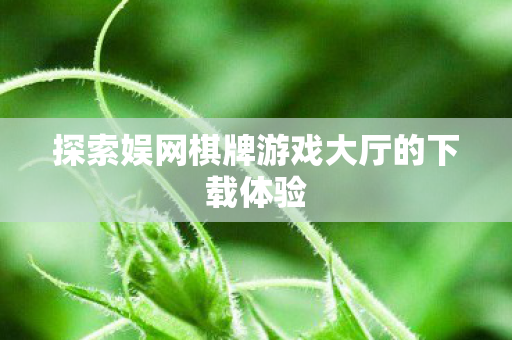 探索娱网棋牌游戏大厅的下载体验