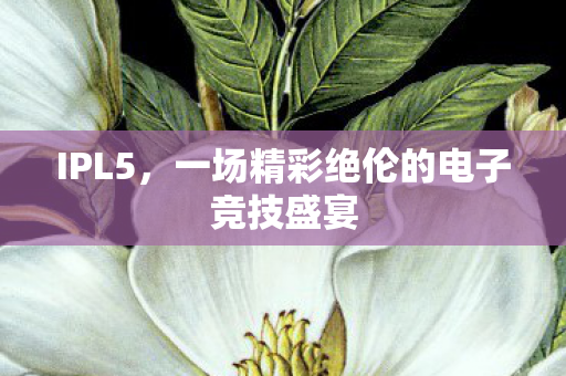 IPL5，一场精彩绝伦的电子竞技盛宴
