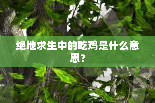 绝地求生中的吃鸡是什么意思？