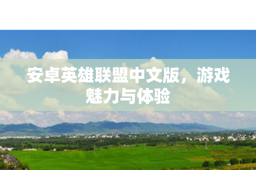 安卓英雄联盟中文版，游戏魅力与体验