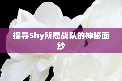 探寻Shy所属战队的神秘面纱