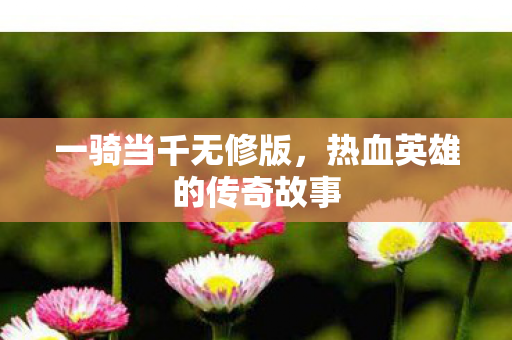 一骑当千无修版，热血英雄的传奇故事