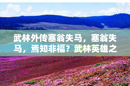 武林外传塞翁失马，塞翁失马，焉知非福？武林英雄之我见