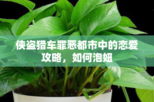侠盗猎车罪恶都市中的恋爱攻略，如何泡妞