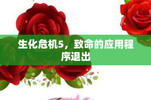 生化危机5，致命的应用程序退出