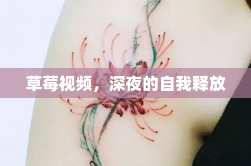 草莓视频，深夜的自我释放