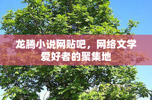 龙腾小说网贴吧，网络文学爱好者的聚集地