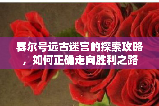 赛尔号远古迷宫的探索攻略，如何正确走向胜利之路