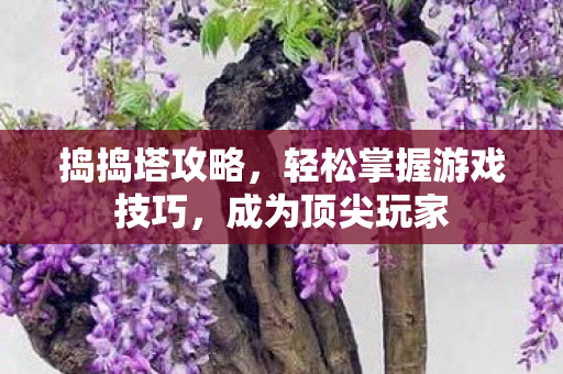 捣捣塔攻略，轻松掌握游戏技巧，成为顶尖玩家