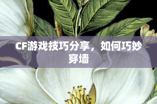 CF游戏技巧分享，如何巧妙穿墙