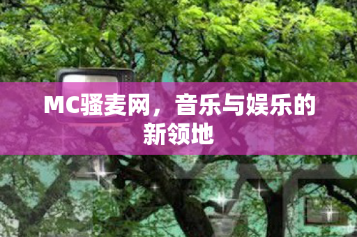 MC骚麦网，音乐与娱乐的新领地