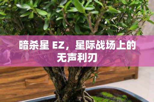 暗杀星 EZ,星际战场上的无声利刃 暗杀星 EZ,星际战场上的无声利刃