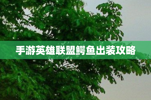手游英雄联盟鳄鱼出装攻略
