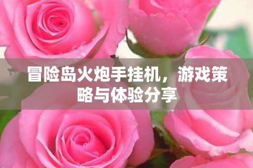 冒险岛火炮手挂机，游戏策略与体验分享