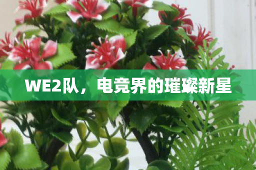 WE2队，电竞界的璀璨新星