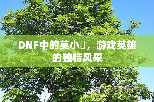 DNF中的莫小囧，游戏英雄的独特风采