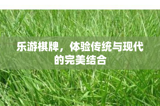 乐游棋牌，体验传统与现代的完美结合