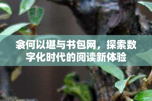衾何以堪与书包网，探索数字化时代的阅读新体验