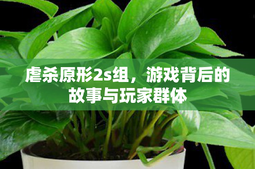 虐杀原形2s组，游戏背后的故事与玩家群体