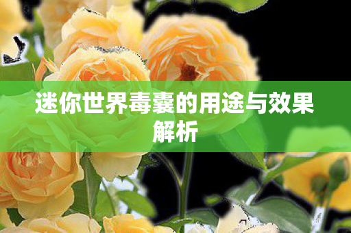 迷你世界毒囊的用途与效果解析