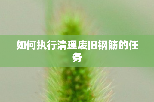 如何执行清理废旧钢筋的任务