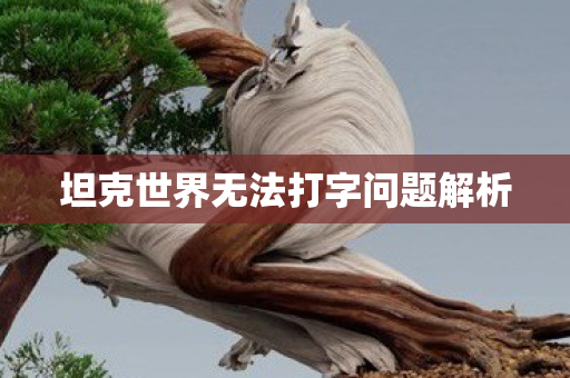 坦克世界无法打字问题解析
