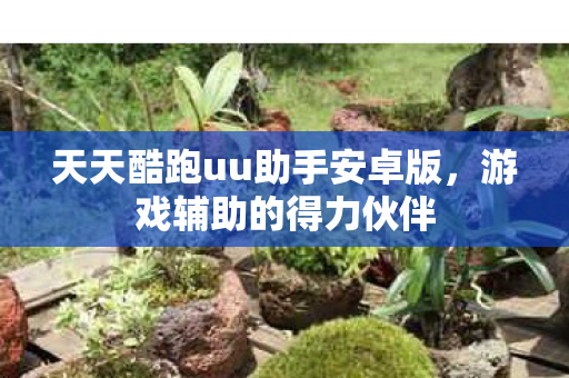 天天酷跑uu助手安卓版，游戏辅助的得力伙伴