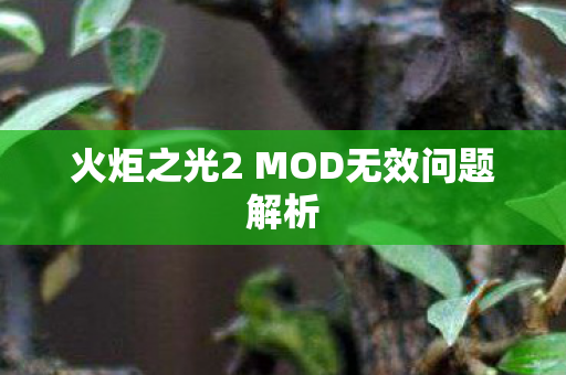 火炬之光2 MOD无效问题解析