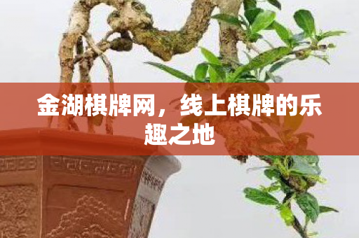 金湖棋牌网，线上棋牌的乐趣之地