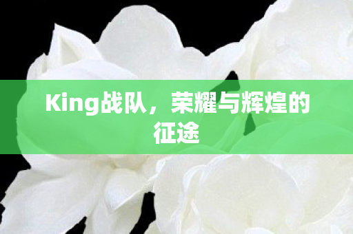 King战队，荣耀与辉煌的征途