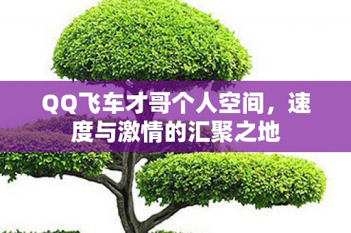 QQ飞车才哥个人空间，速度与激情的汇聚之地