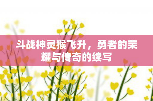 斗战神灵猴飞升，勇者的荣耀与传奇的续写
