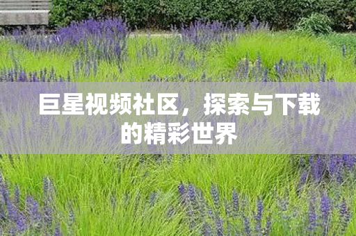 巨星视频社区，探索与下载的精彩世界