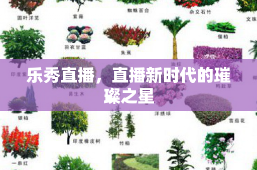 乐秀直播，直播新时代的璀璨之星