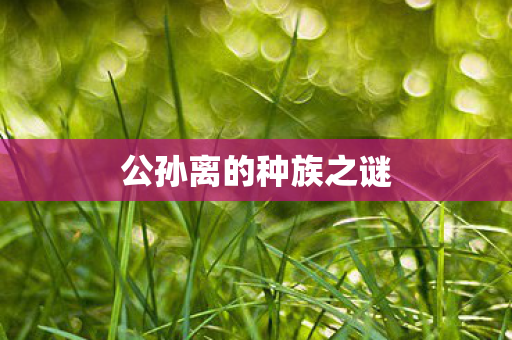公孙离的种族之谜