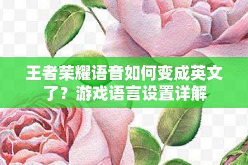 王者荣耀语音如何变成英文了？游戏语言设置详解