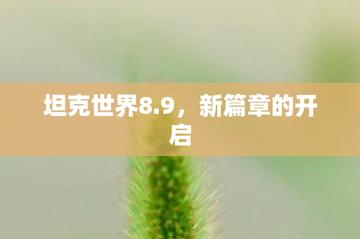 坦克世界8.9，新篇章的开启