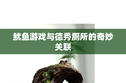 鱿鱼游戏与德秀厕所的奇妙关联