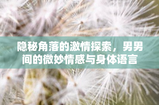 隐秘角落的激情探索，男男间的微妙情感与身体语言