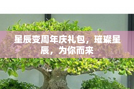 星辰变周年庆礼包,璀璨星辰,为你而来 星辰变周年庆礼包,璀璨星辰,为你而来