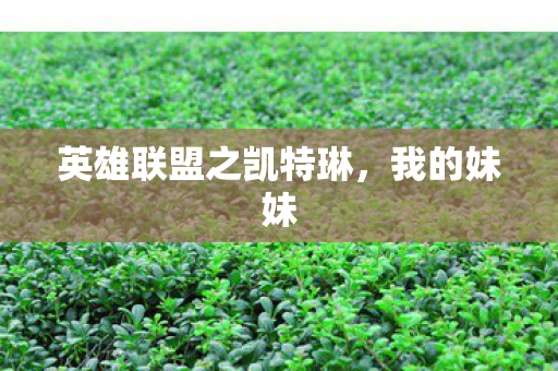 英雄联盟之凯特琳，我的妹妹