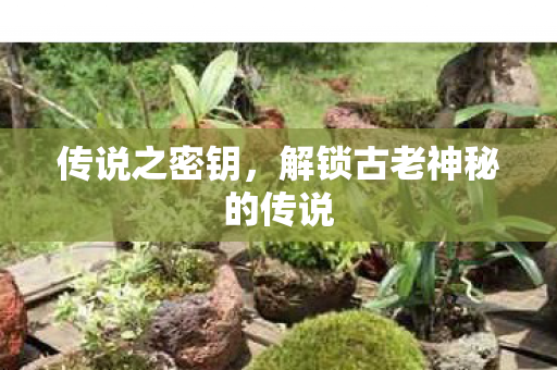 传说之密钥,解锁古老神秘的传说 传说之密钥,解锁古老神秘的传说