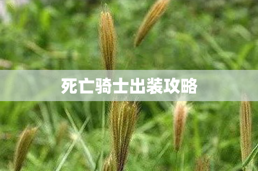 死亡骑士出装攻略