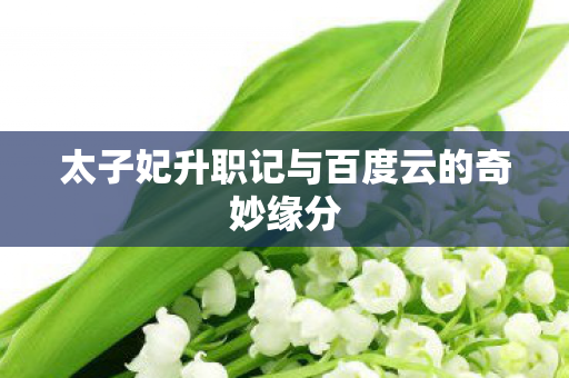 太子妃升职记与百度云的奇妙缘分