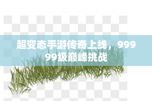 超变态手游传奇上线，99999级巅峰挑战